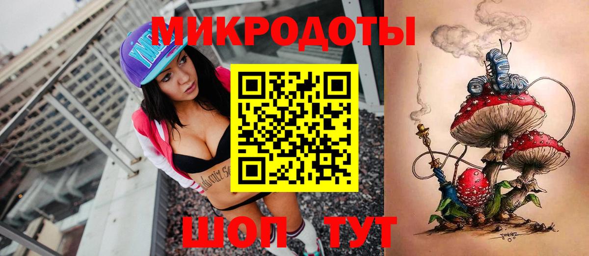 Галлюциногенные грибы Psilocybe Новозыбков