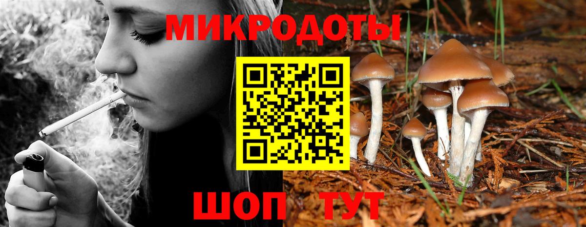 Галлюциногенные грибы ЛСД  Псилоцибиновые грибы Magic Shrooms  Новозыбков  Вход с VPN 